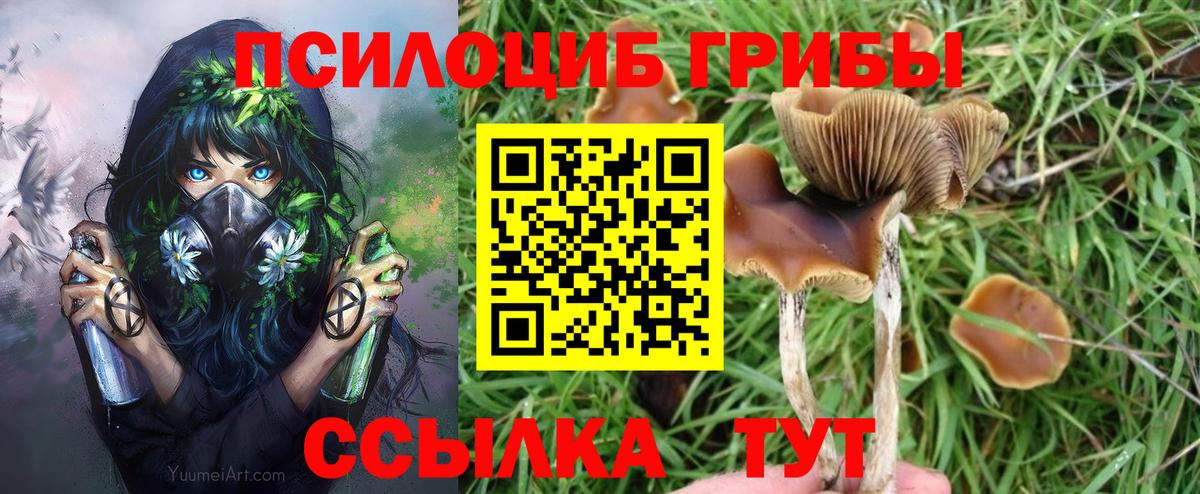 Галлюциногенные грибы Magic Shrooms  Вход с VPN  Бийск 